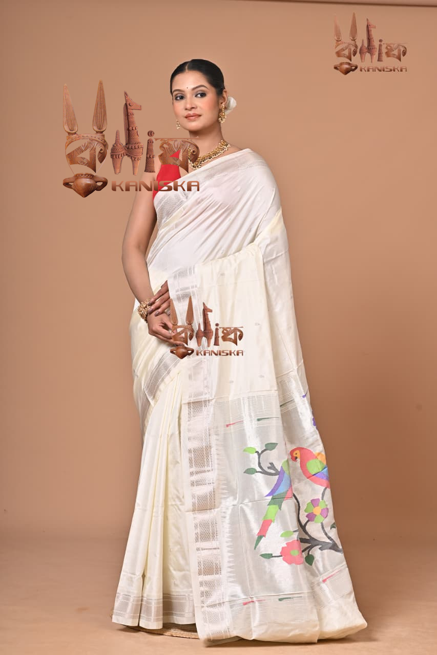 PAITHANI 2025125 Product Image